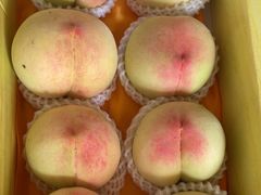 -南汇水蜜桃采摘(大团店)