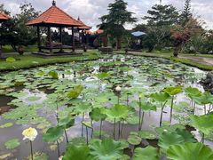 -Bebek Joni Restaurant