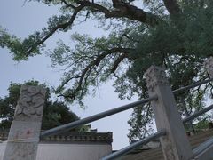 -新安江山水画廊风景区