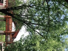 -野鸭湖国家湿地公园