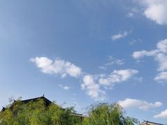 -丽江金茂凯悦臻选酒店-滇香馆