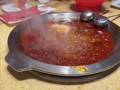-田鸭肠·非遗火锅(彭州店)