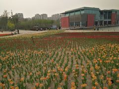 -廊坊文化艺术中心