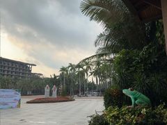 -呀诺达热带雨林
