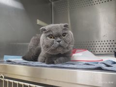 -美联众合动物医院·24h转诊中心