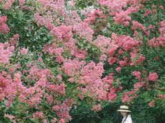 -杭州城北体育公园