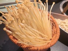 -季季山·云南野生菌火锅(上海首店)