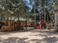 -南宫五洲植物乐园