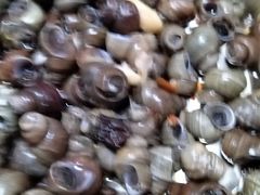 -熊记虾王·小龙虾(东晓南店)