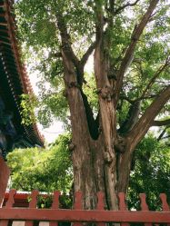 -简影造型·自选烫染接发salon