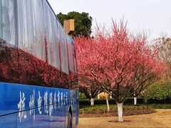-杭州城北体育公园
