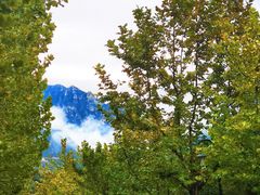 -天鹅湖生态旅游风景区
