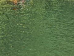 -安吉龙王山峡谷漂流