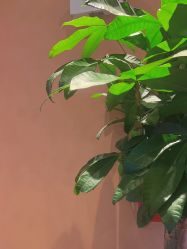 -盘子女人坊古装写真摄影(南京总店)