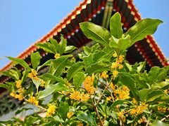 -北京市劳动人民文化宫(太庙)