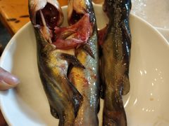 -老码头火锅(玉林店)