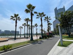 -金沙湖公园