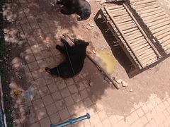 -昆明动物园