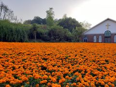 -天目湖涵田度假村
