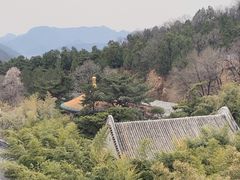 -潭柘寺景区