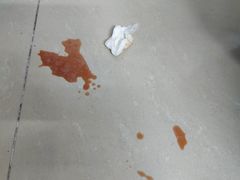 -创凡宠物医院·骨专科  猫科中心(西乡分院)