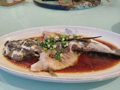 -松沪名灶·豆浆鱼头·新上海菜(飞航吾悦广场店)
