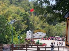 -西双版纳原始森林公园