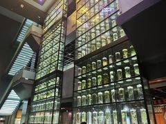 -广东中医药博物馆