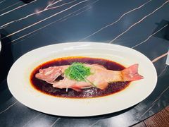 东星斑-宝燕壹号景观餐厅(龙盛国际商业广场店)