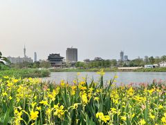 -海珠湖公园