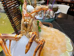 -半岛翡丽海鲜自助餐厅(观风亭店)