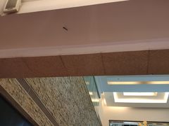 -骑鹅公社(南开大悦城店)