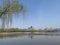 -莲花池公园