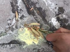-百里山水画廊乌龙峡谷