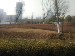 android_upload_pic-聚龙湖公园
