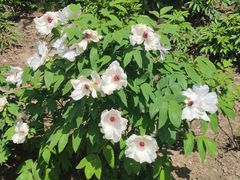 -江南大学(蠡湖校区)