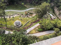 -金鸡山公园