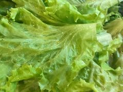 -釜山火炉·海鲜烤肉(紫藤路店)