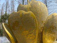 -东平国家森林公园