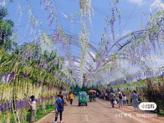 -云漫湖生态度假公园