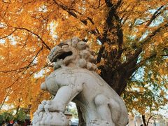 -北京石刻艺术博物馆(五塔寺)