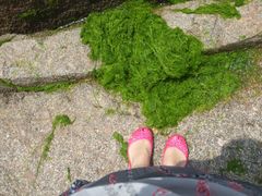 -日照灯塔风景区