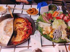 -朱光玉火锅馆(正弘城店)