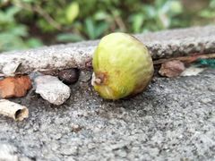 -杭州九堡客运中心