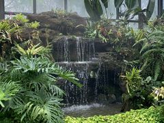 -东莞植物园