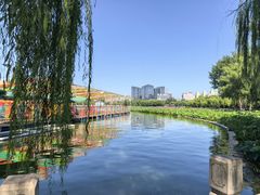 -莲花池公园