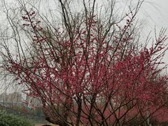 -食膳公园包子铺(烈士公园店)