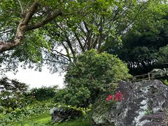 -海口火山口国家地质公园