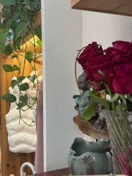 -依灵瑜伽普拉提连锁