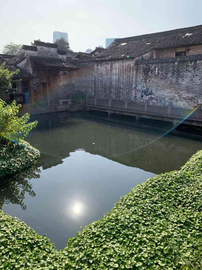 墨池-"书圣故里的马拉松提前一天去的,还可以到."-大众点评移动版